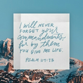 Praise the Lord