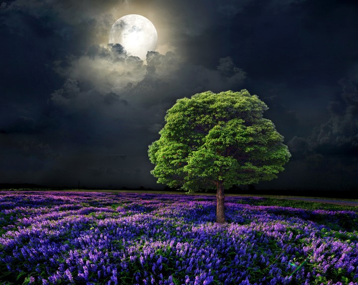 nature