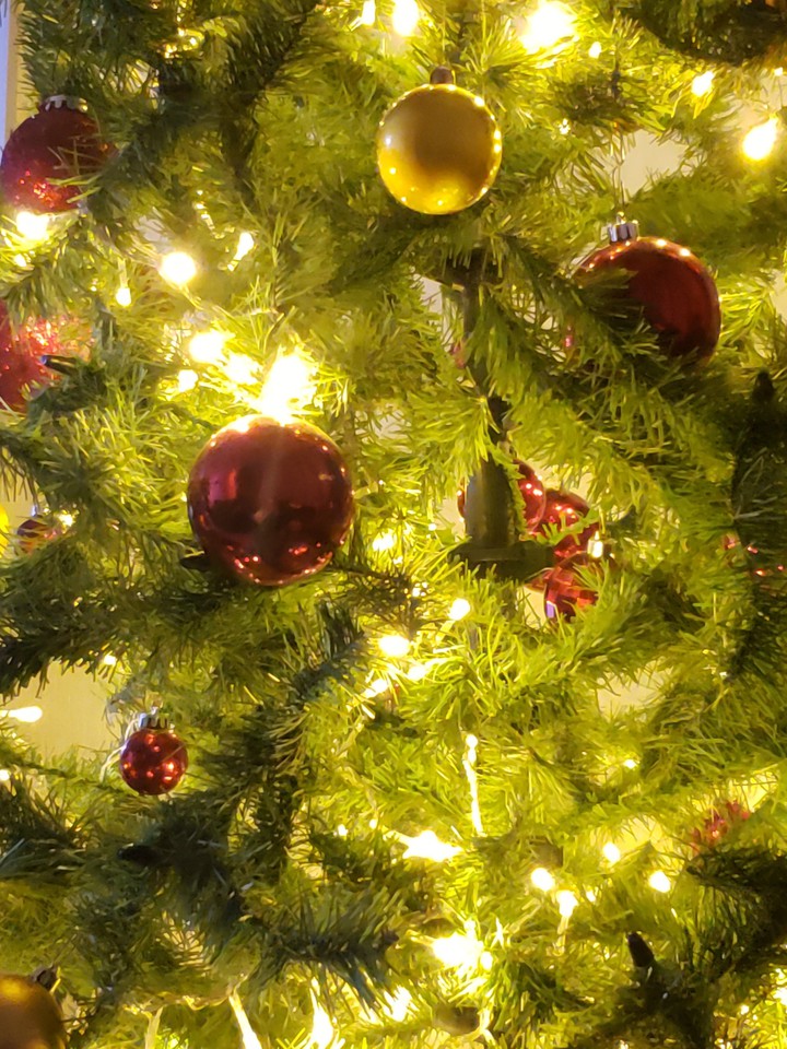 Navidad