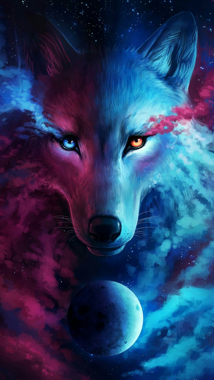 Wolf gallax