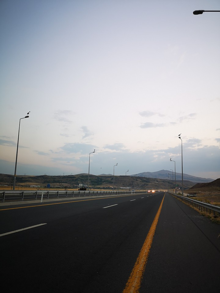Roads and storks