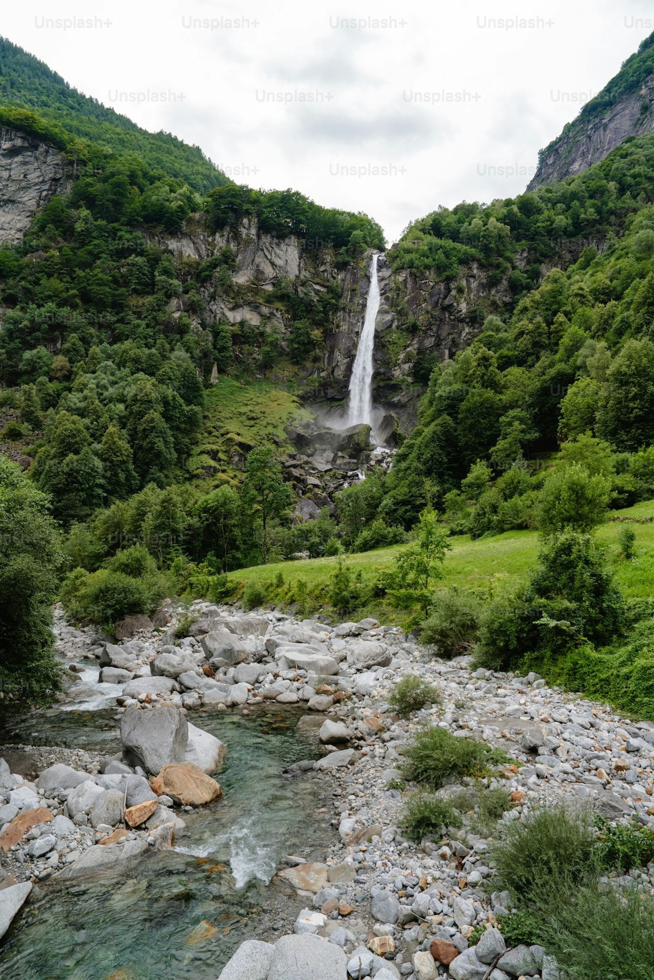 тапети highland, nature
