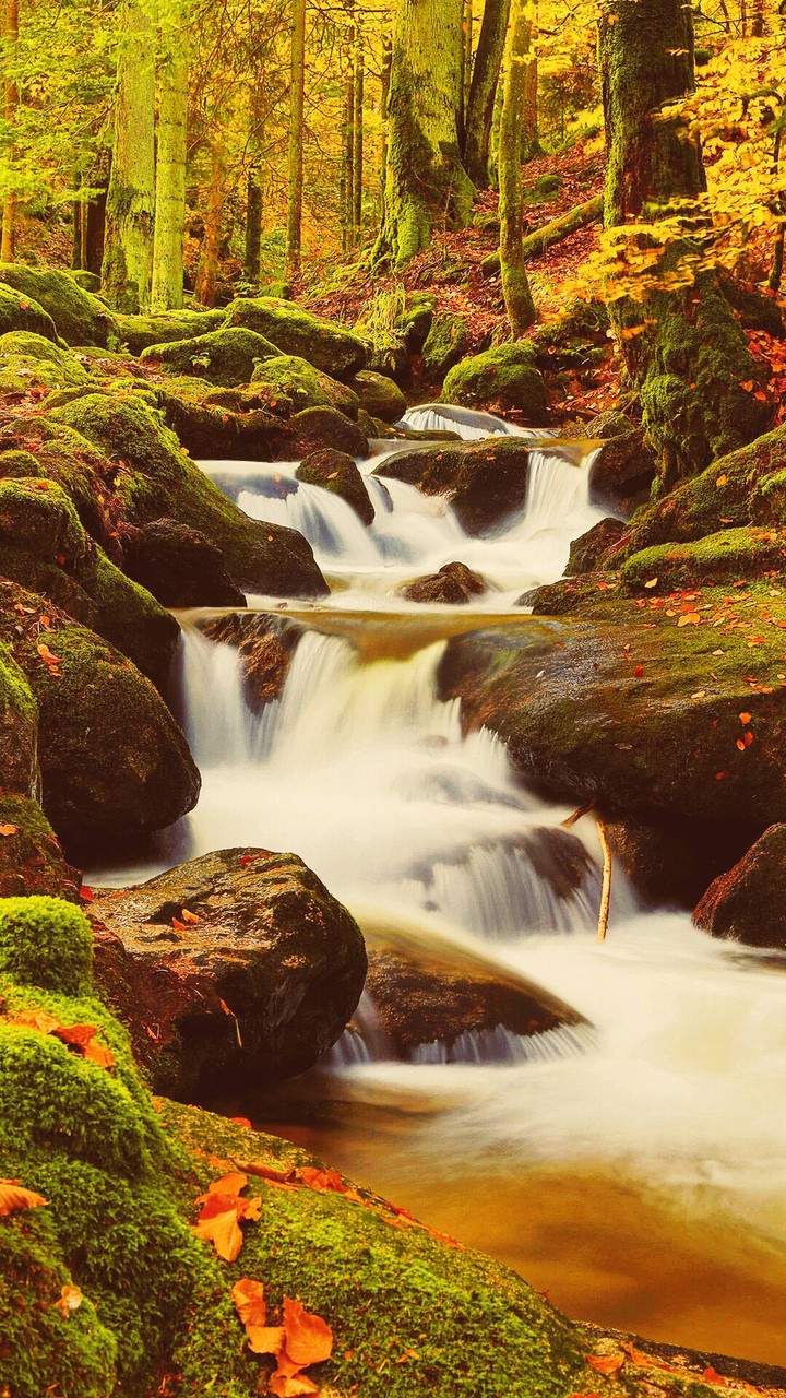 Nature