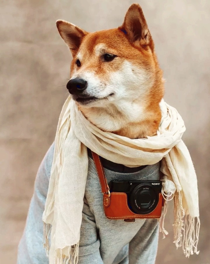 Фотограф в деле