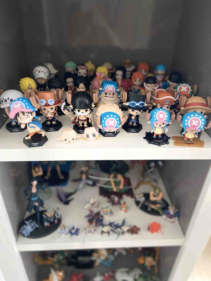 My favorite figure Onepiece