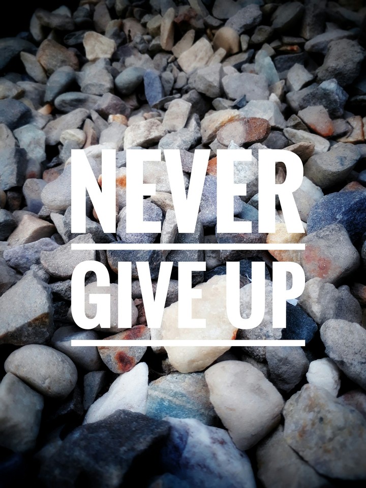 Never Gibe Up