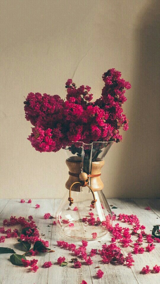 flores vermelhas