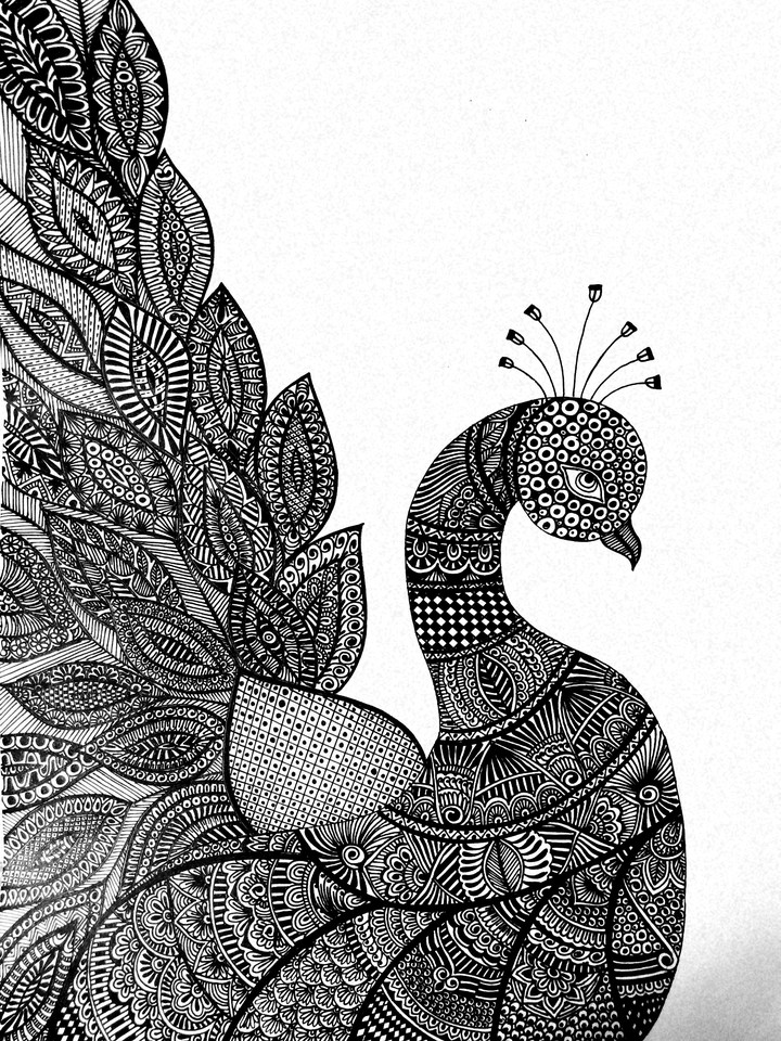 beauty of a peacock
