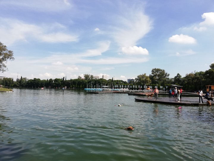 lago
