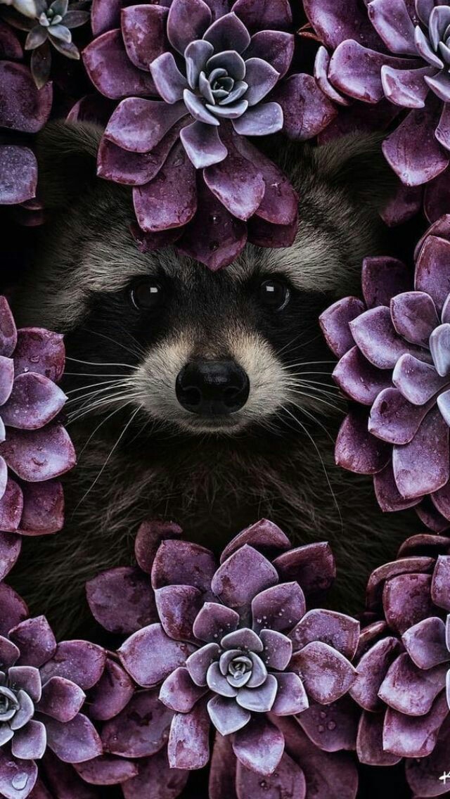 ♥♥