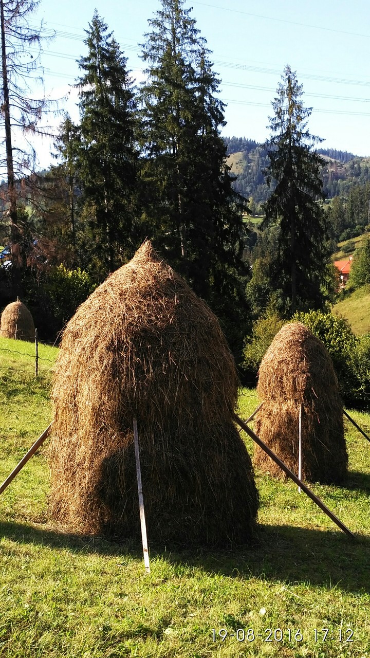 Ukraine