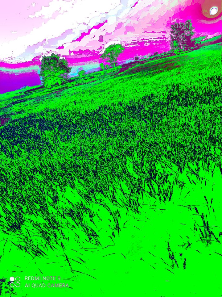 green