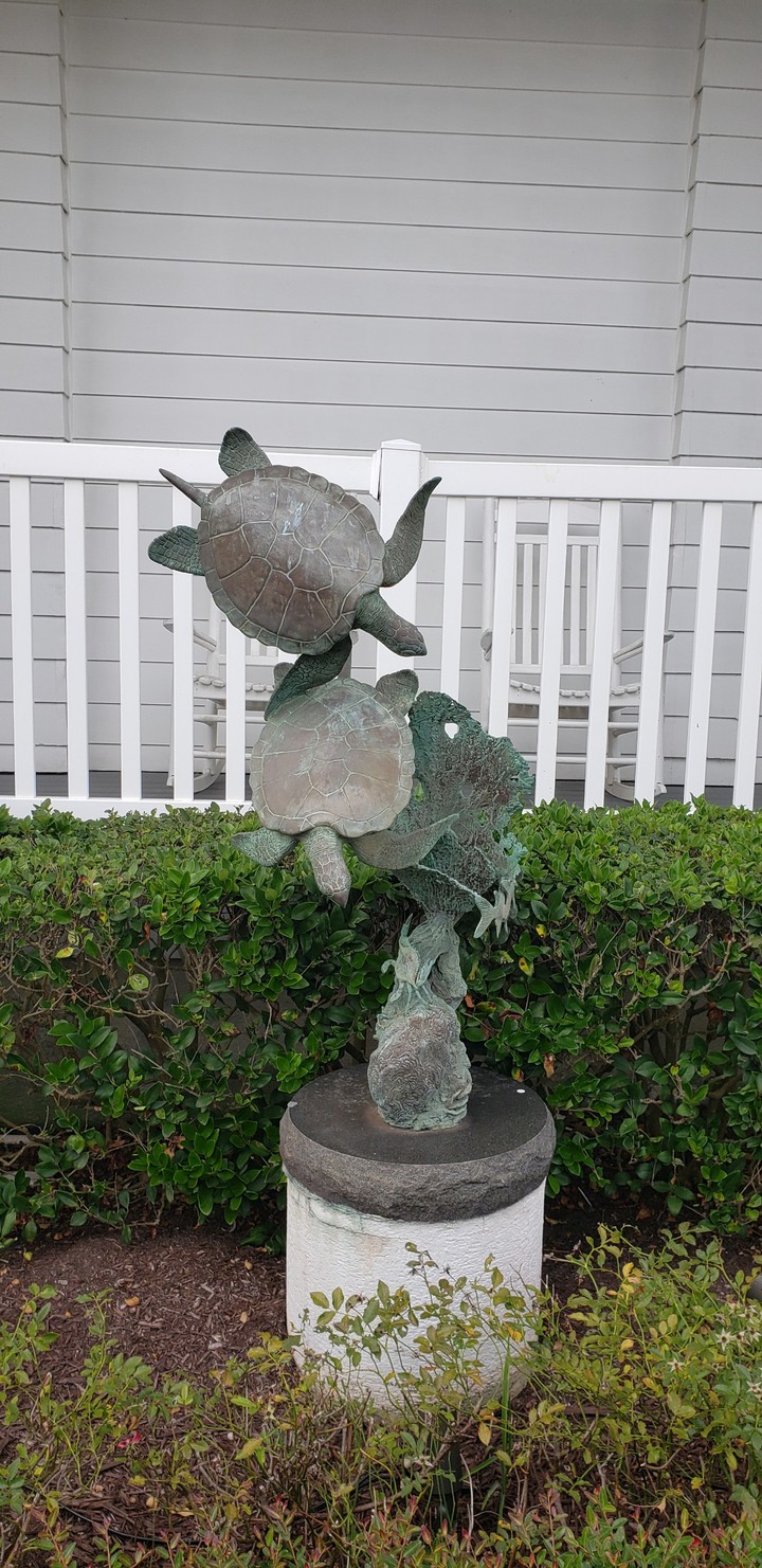 Beach sights