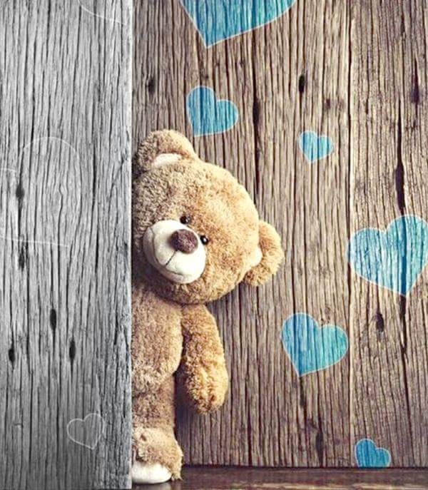 nounours