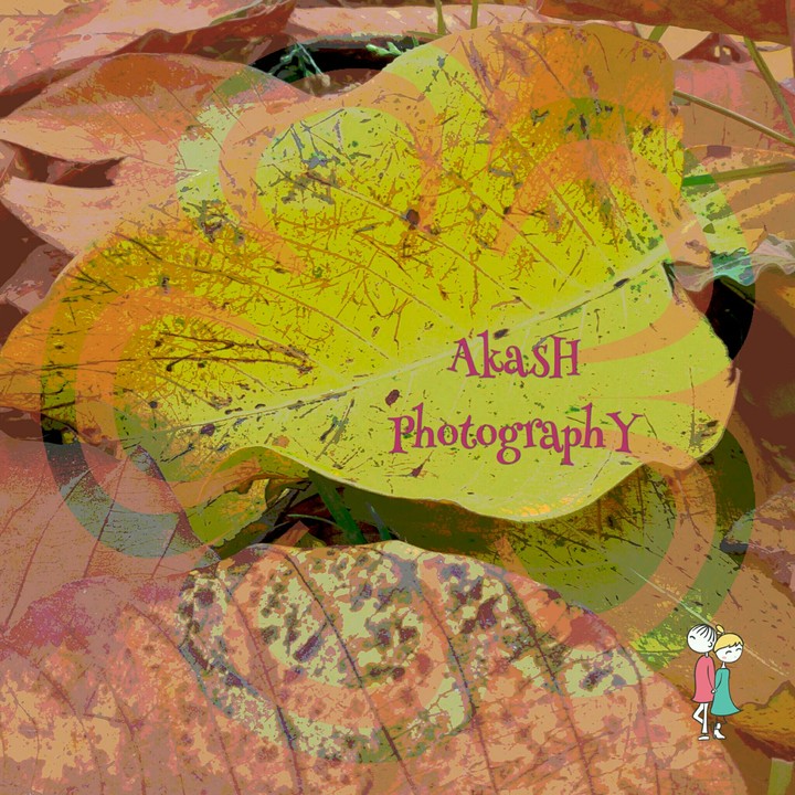 leaf