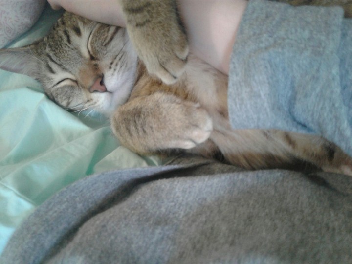 Dusty adorbs