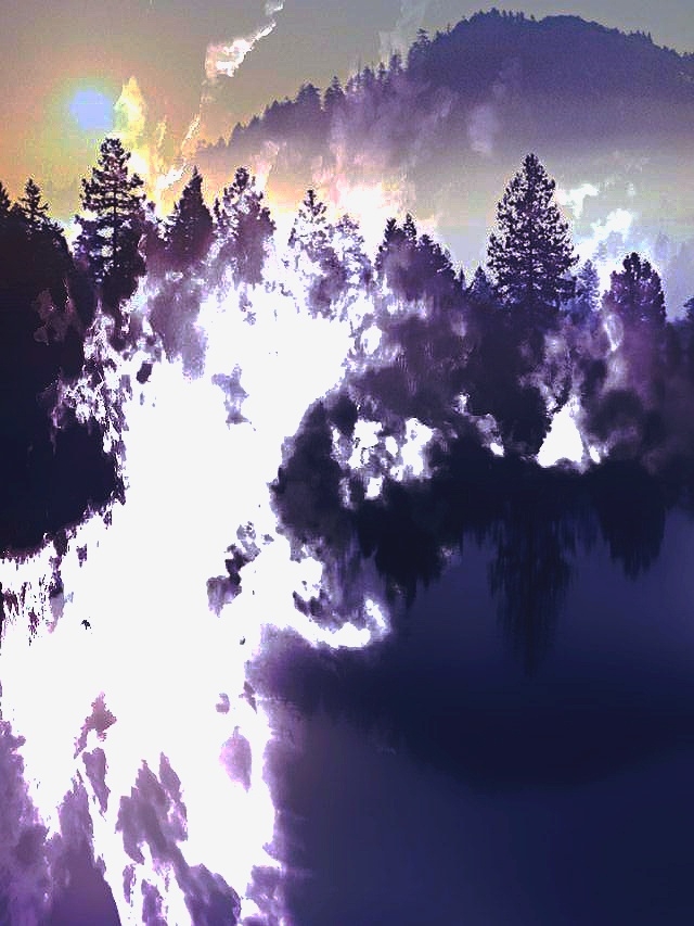 forest art