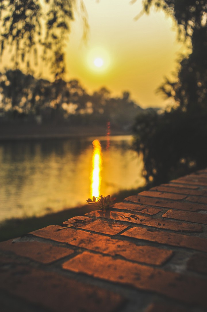 Sunset delight