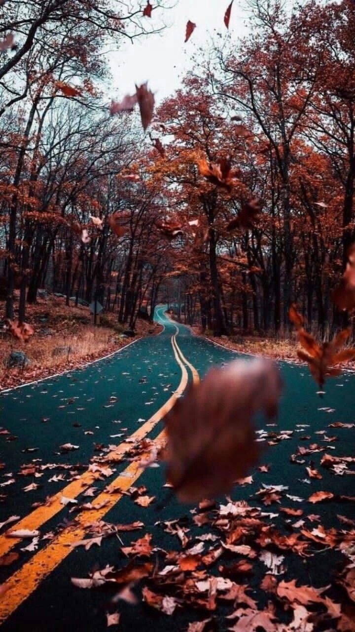 road