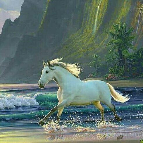 beauty of horse