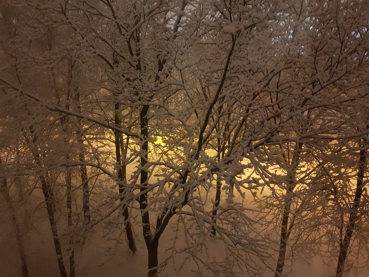 winter evening