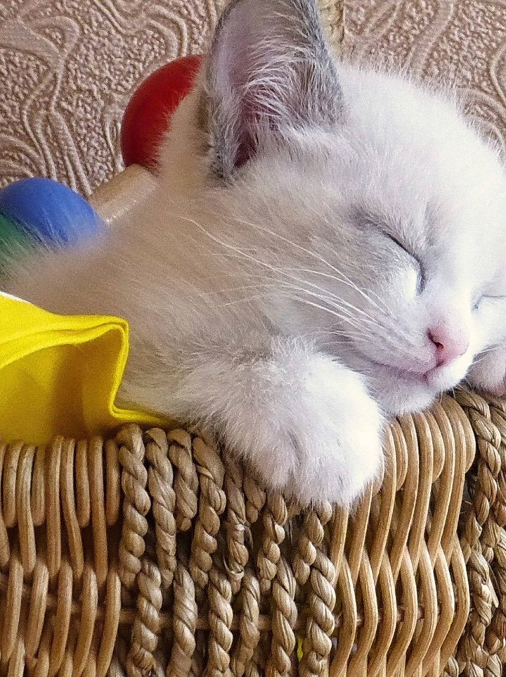 cute