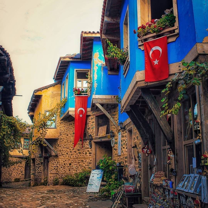 Bursa cumalıkızık