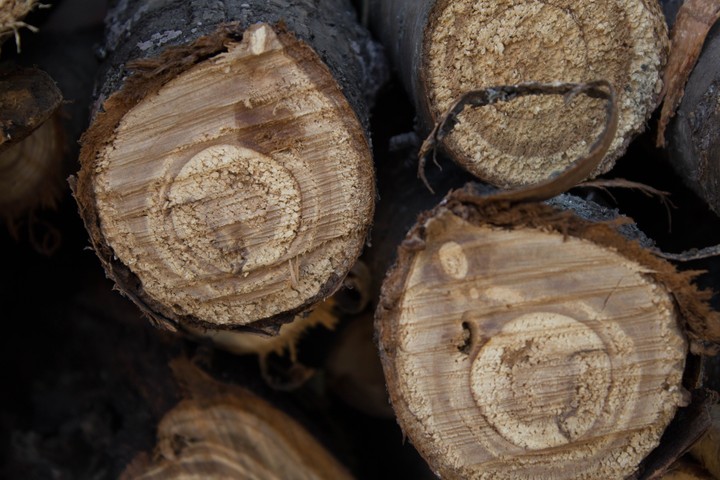 Woodpile