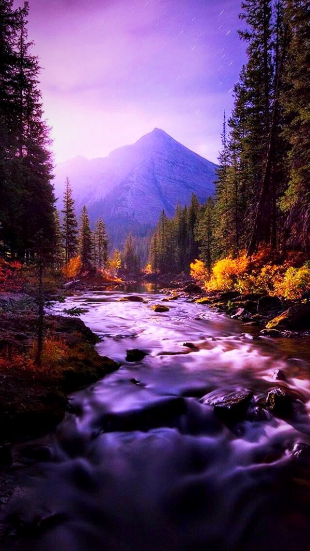 beautiful landscape