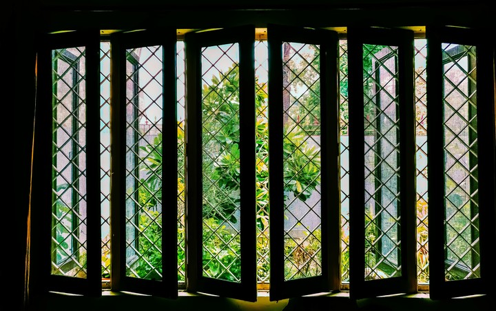 window greenary