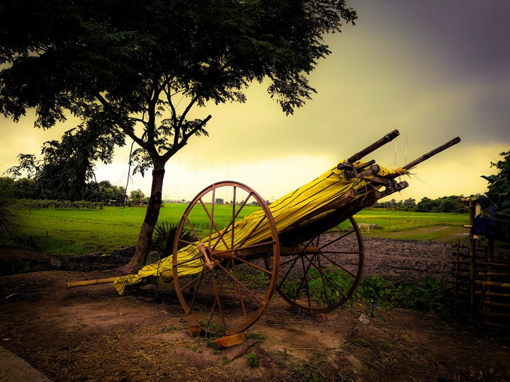 Rural Beauty