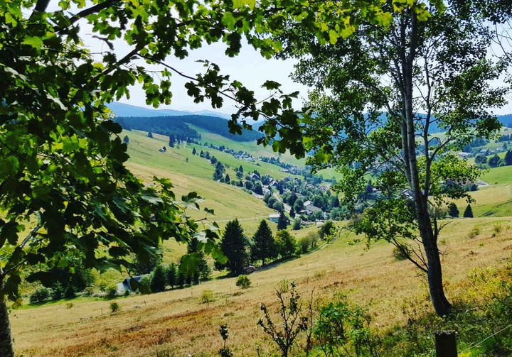 Germany, Todtnauberg