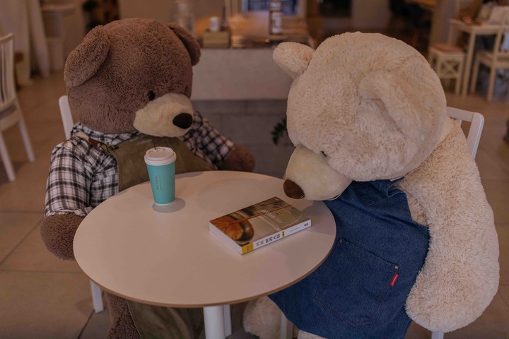 Bear Brother