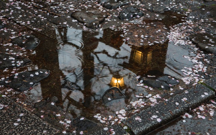 Rainy