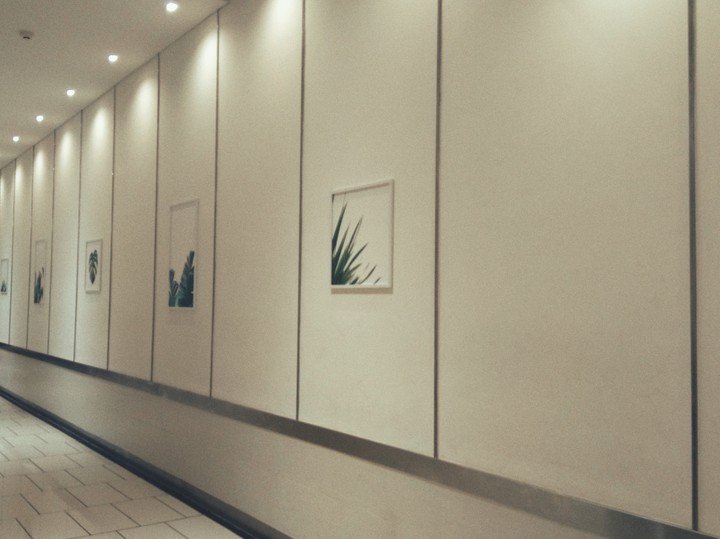 wall decor