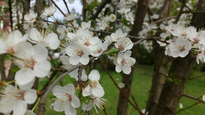 Spring!