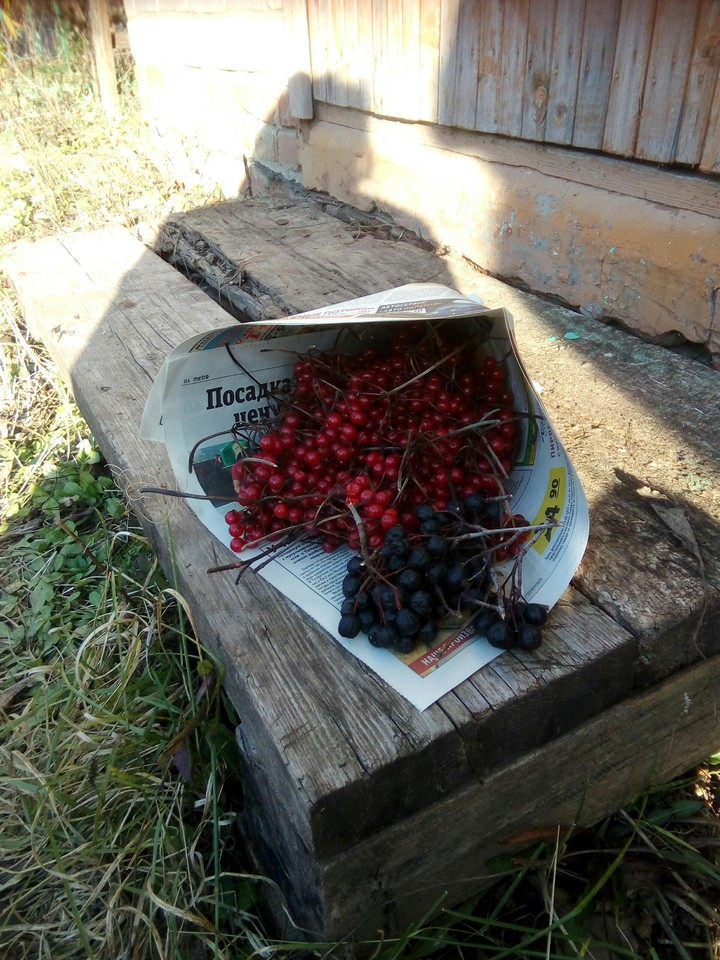 осень