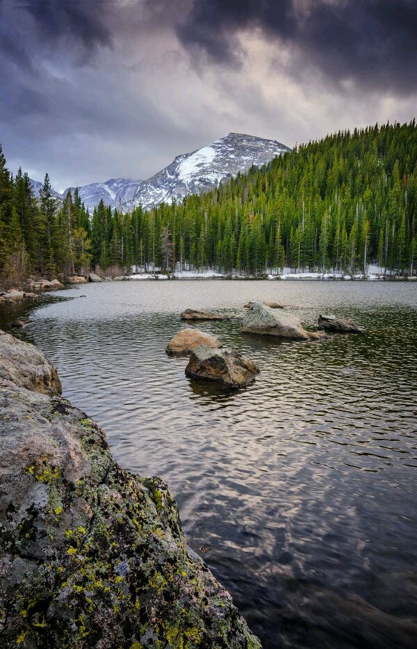 nature