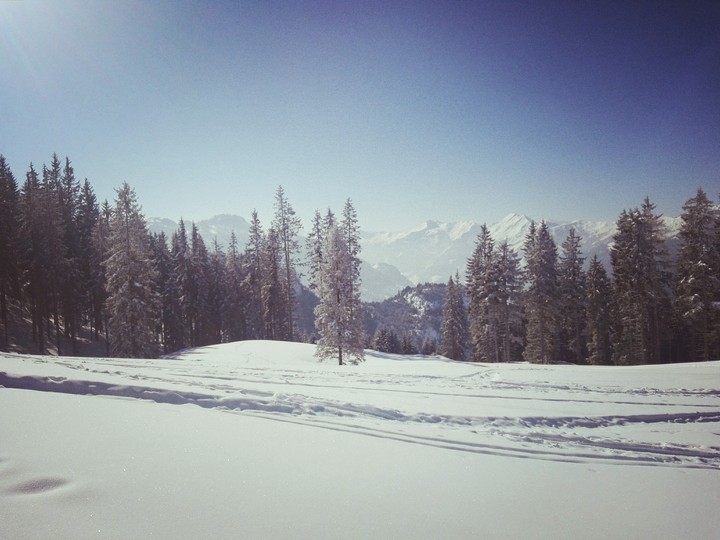 winter wonder land