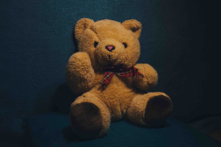 Teddy