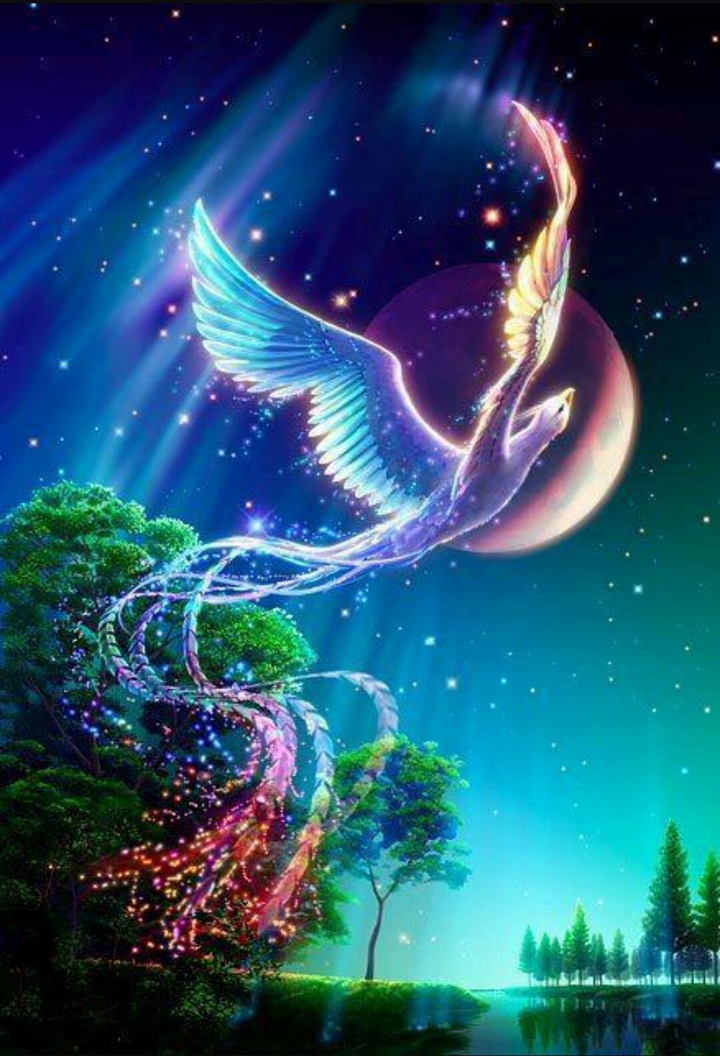 a bird in the nature