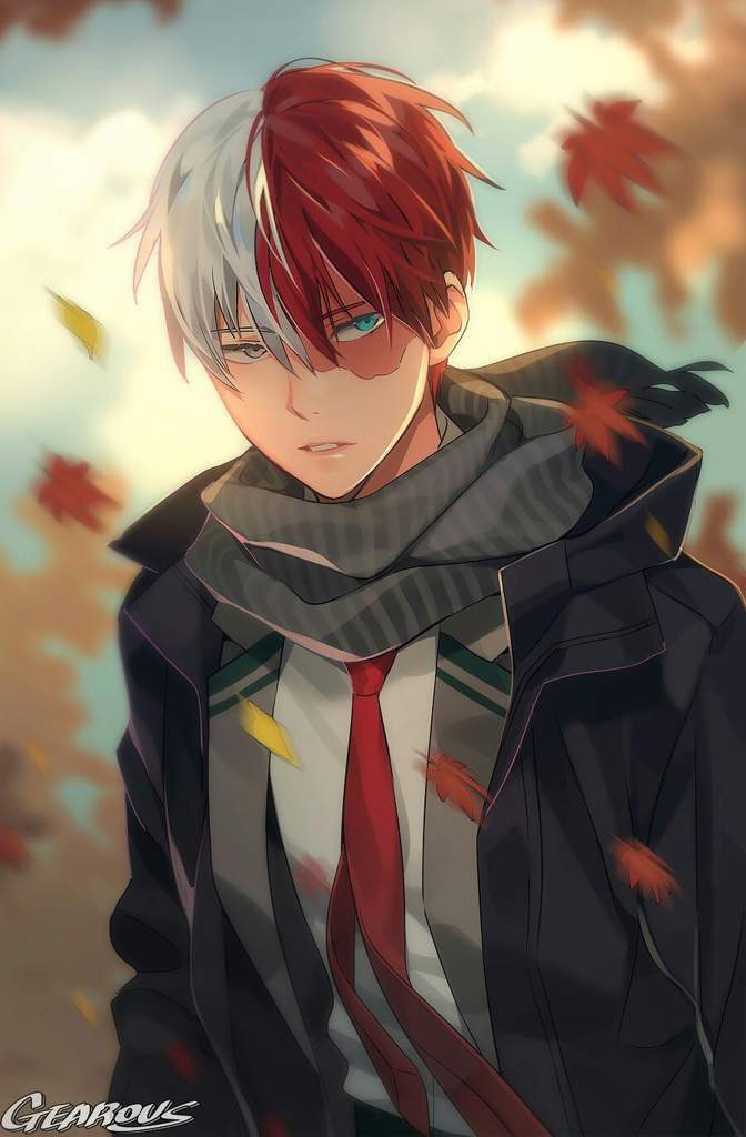 My hero academy