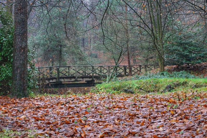 nature