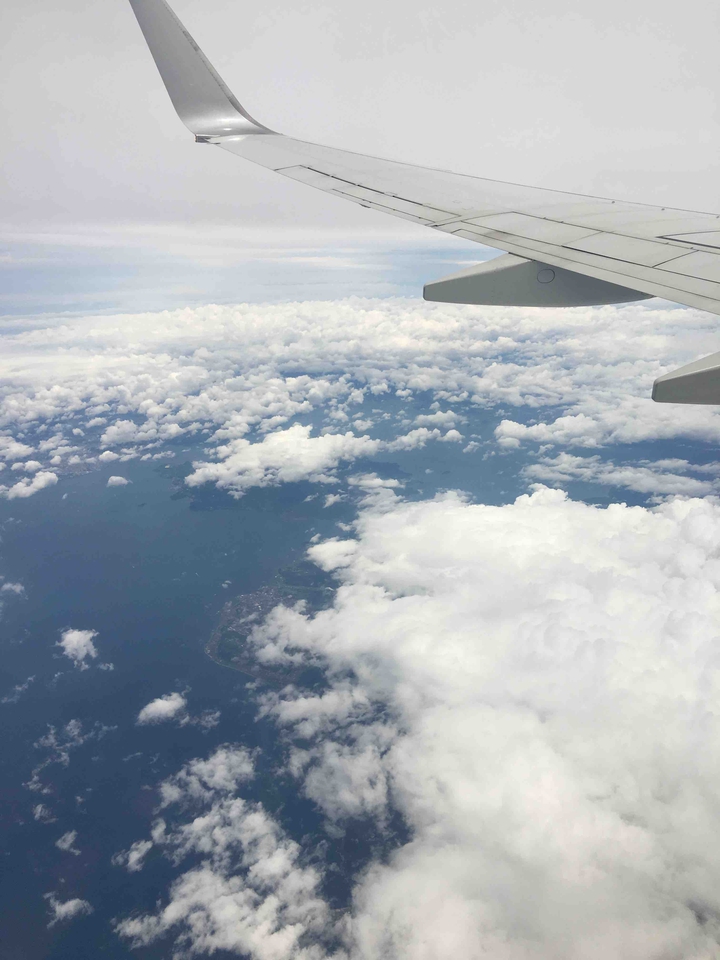 fly high