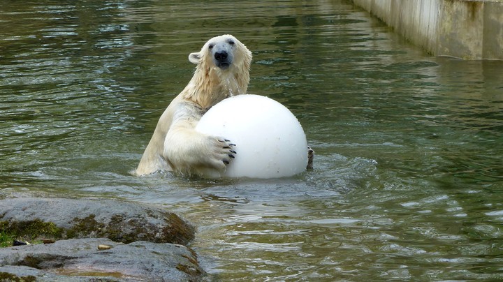 Tierpark Hellabrunn 2014