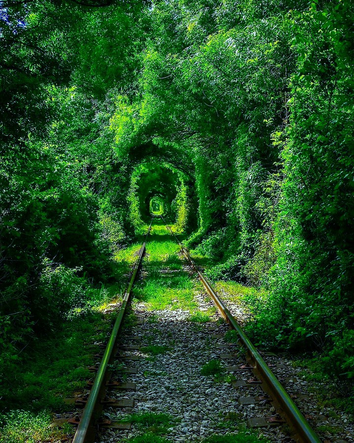 Railways in the lap of nature❤☁️