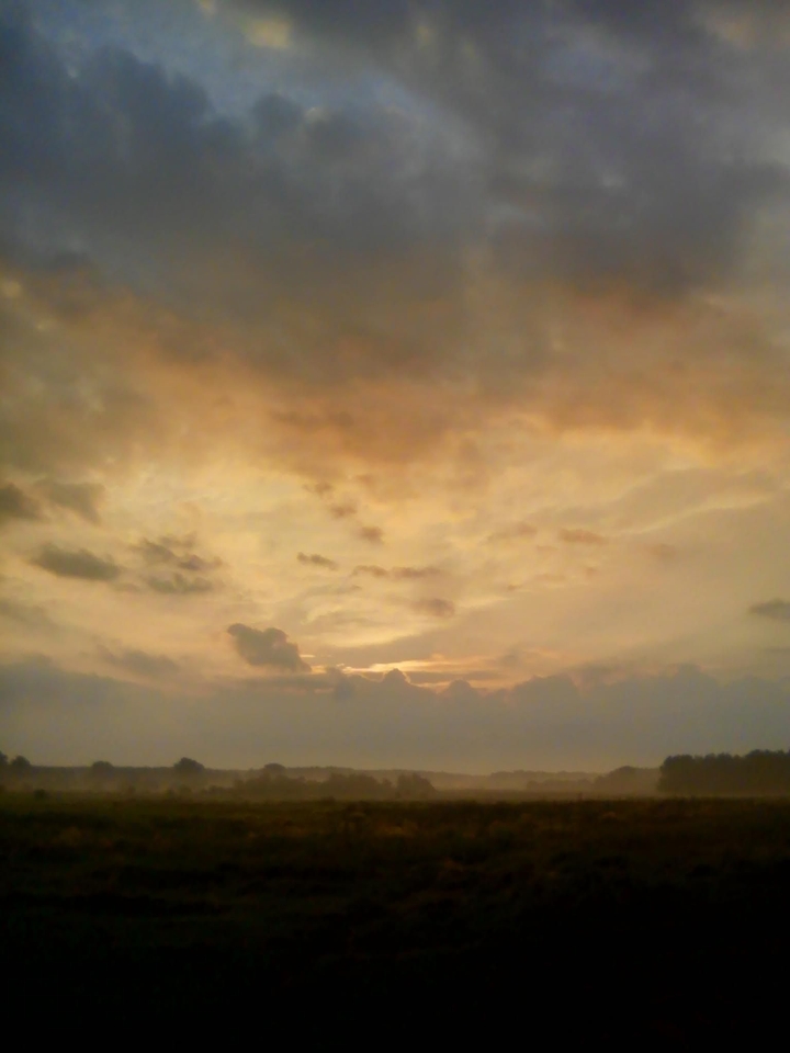 steppe