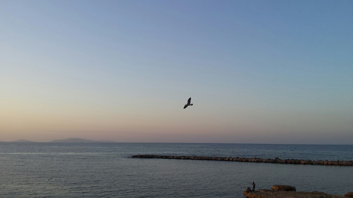 Le ali della libertà