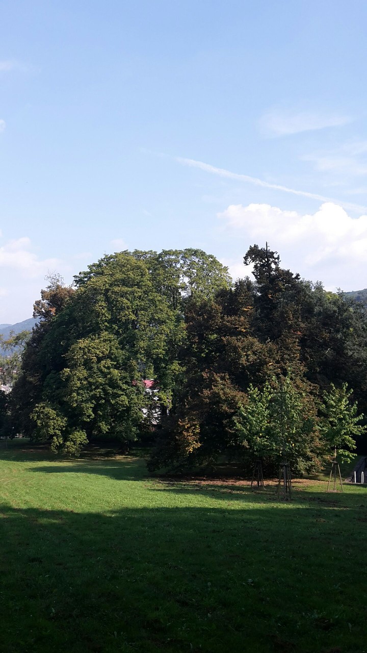 park3