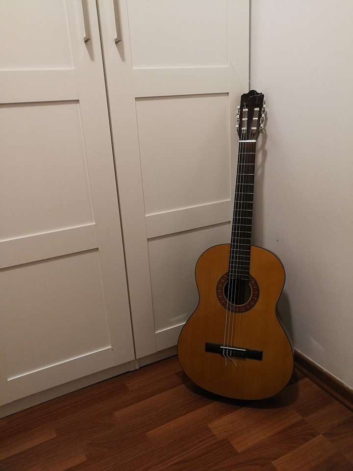 Guitar